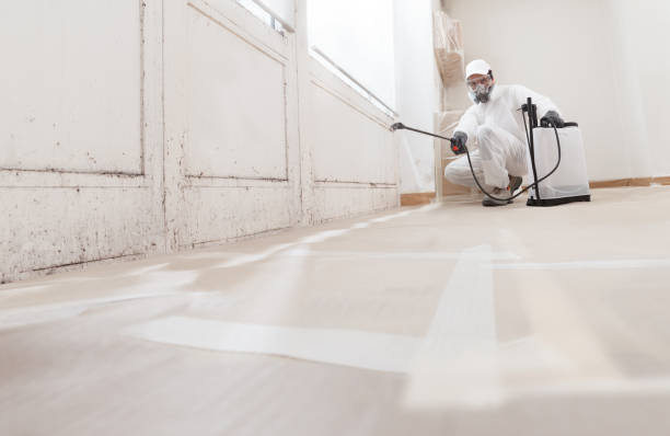 24/7 Emergency Bathroom Mold Removal experts in Auburn, IL